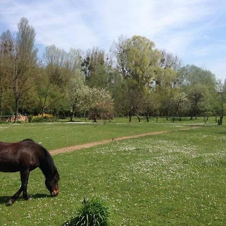 شقة La Pierre Levee Montigny-sur-Loing المظهر الخارجي الصورة