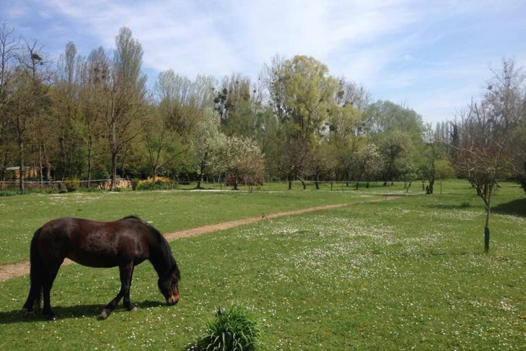 شقة La Pierre Levee Montigny-sur-Loing المظهر الخارجي الصورة